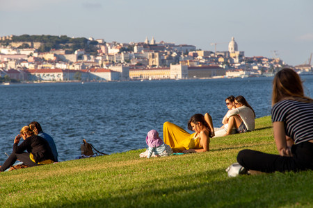 _MG_7803.jpg